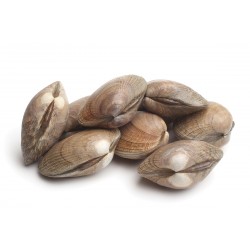 Almejas negras 40/60